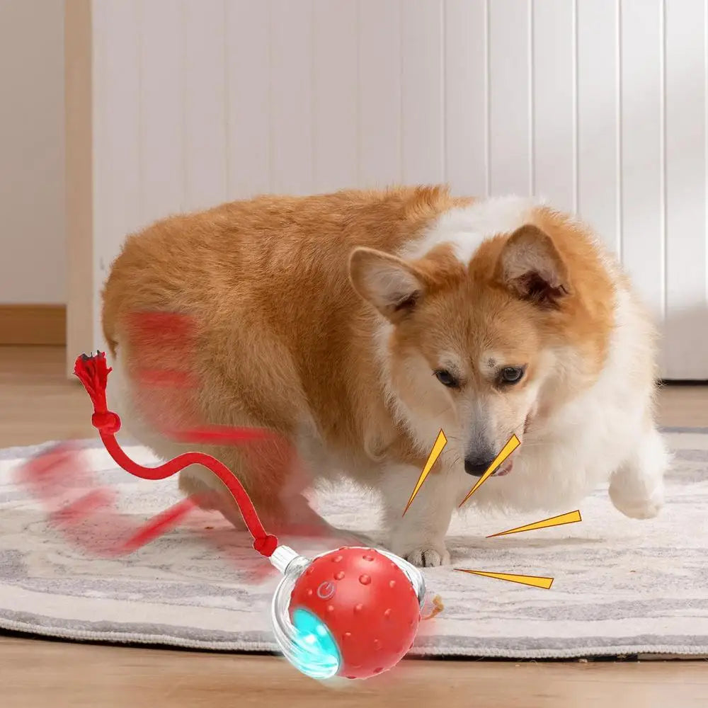 Bola Interativa Inteligente com Cauda para Gatos