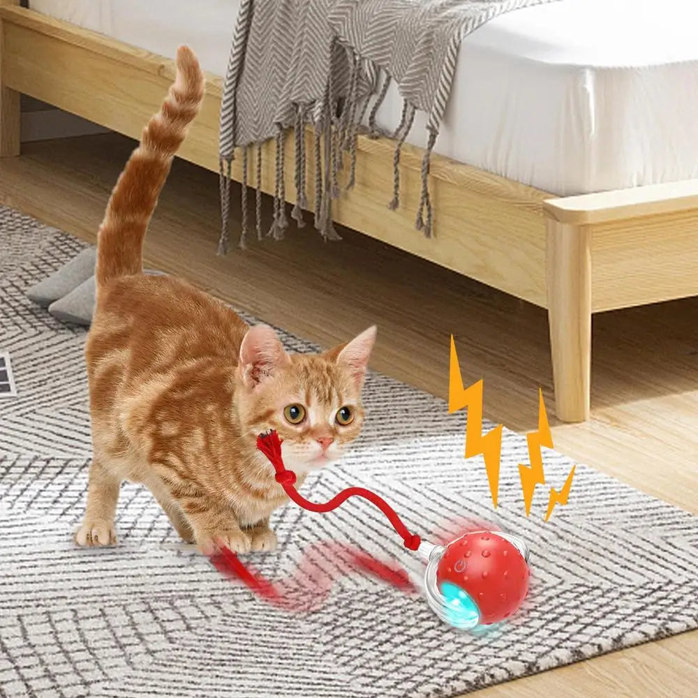 Bola Interativa Inteligente com Cauda para Gatos