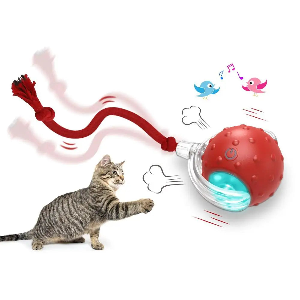 Bola Interativa Inteligente com Cauda para Gatos